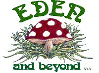 Eden and Beyond landscape gardeners